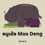 คอร์ดเพลง หมูเด้ง Moo Deng Karat K