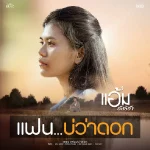 คอร์ดเพลง แฟนบ่ว่าดอก แอ้ม ชลธิชา